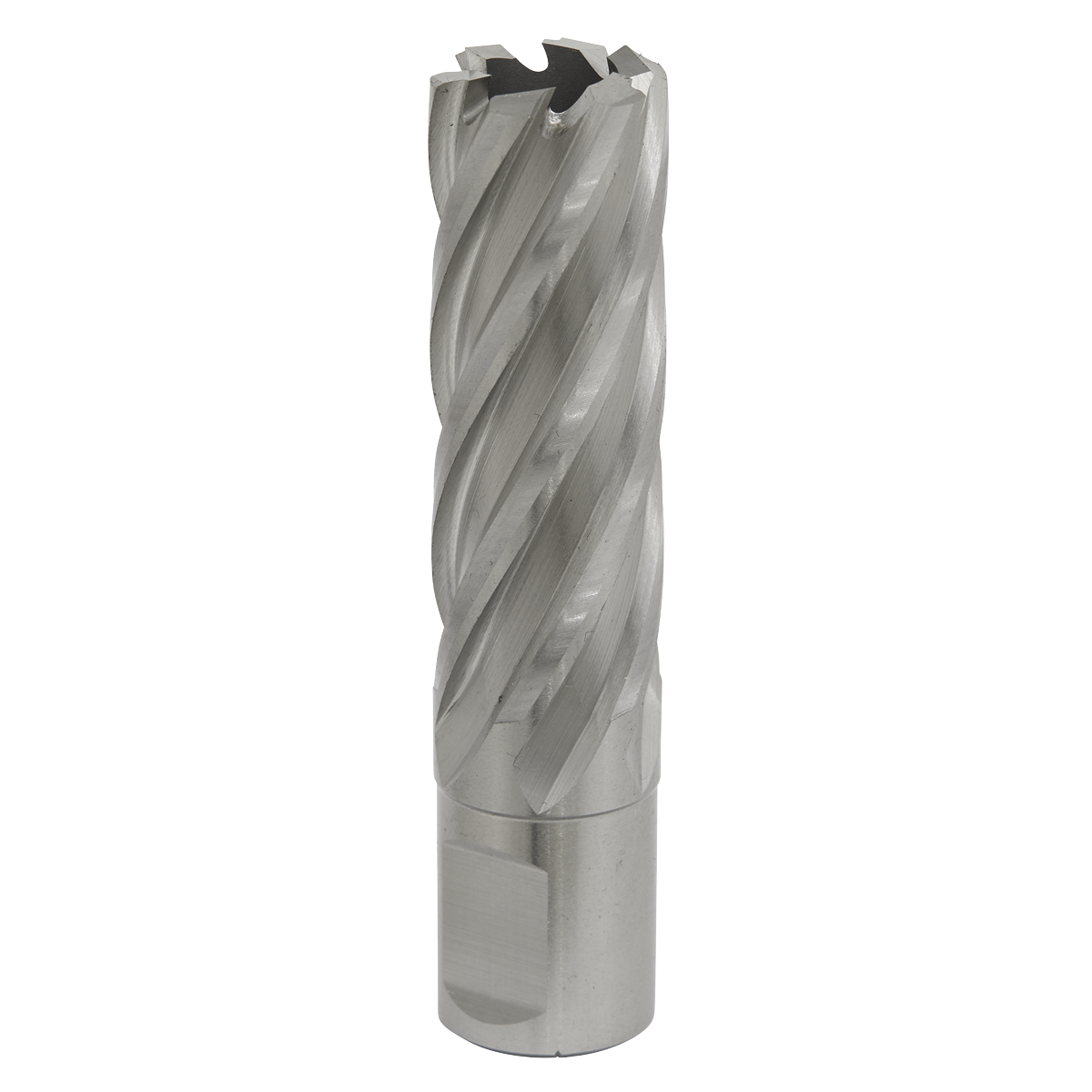 Worksafe® HSS Mag Drill Bit