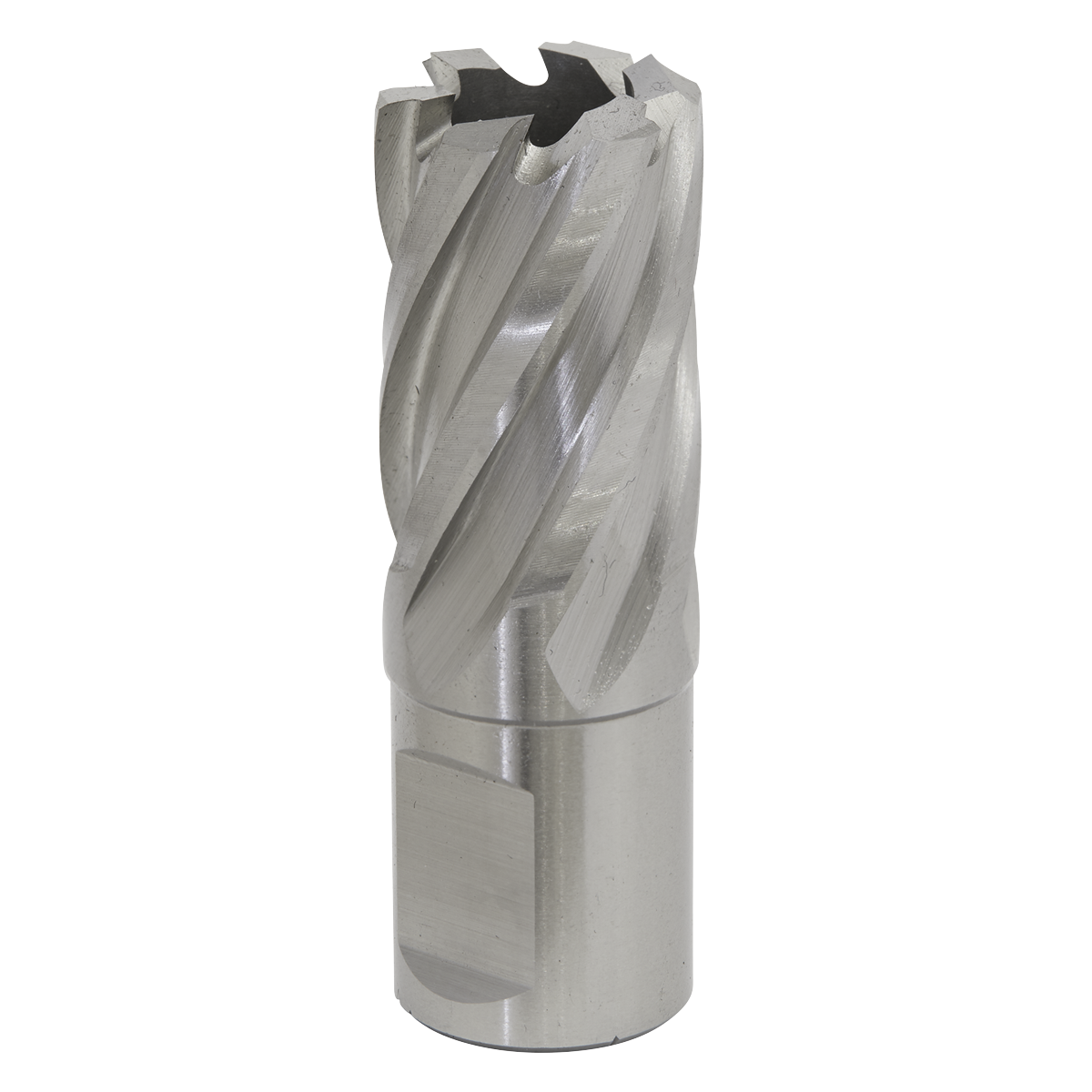Worksafe® HSS Mag Drill Bit