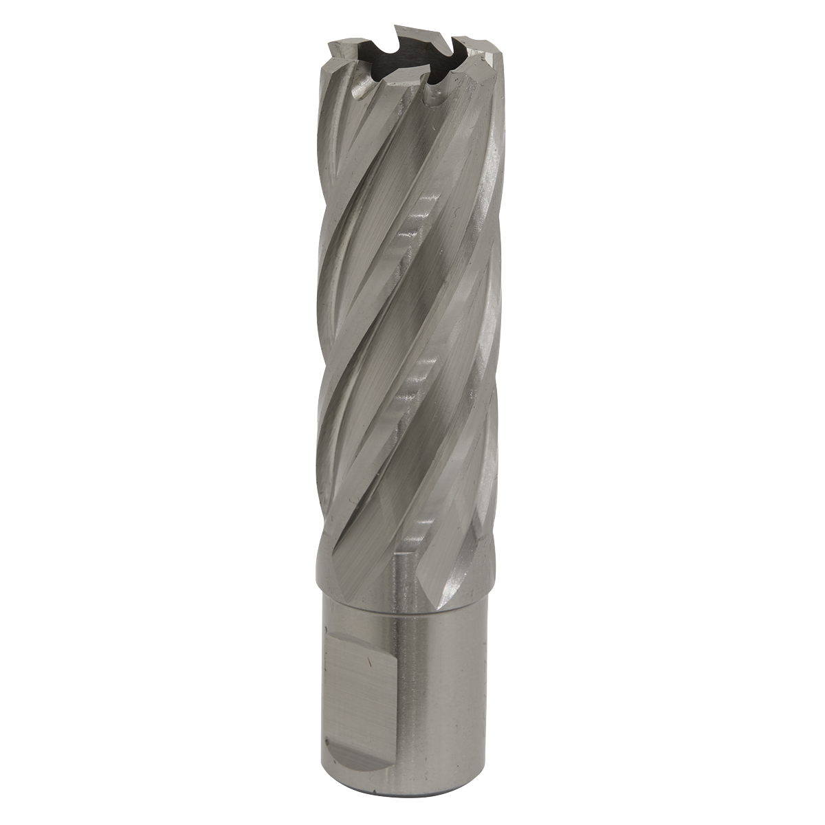 Worksafe® HSS Mag Drill Bit