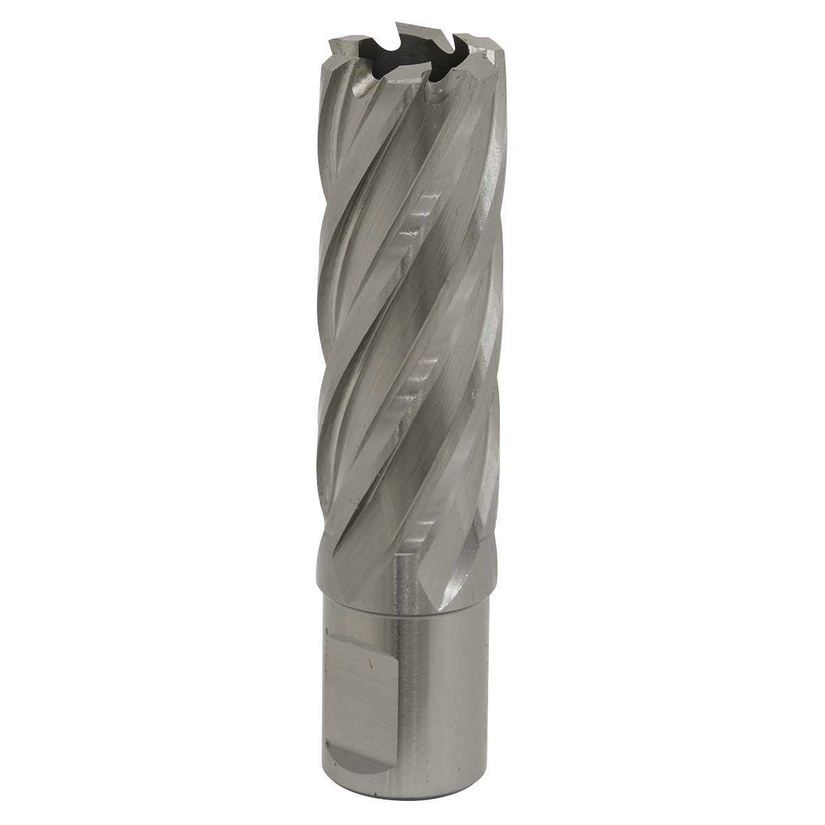Worksafe® HSS Mag Drill Bit