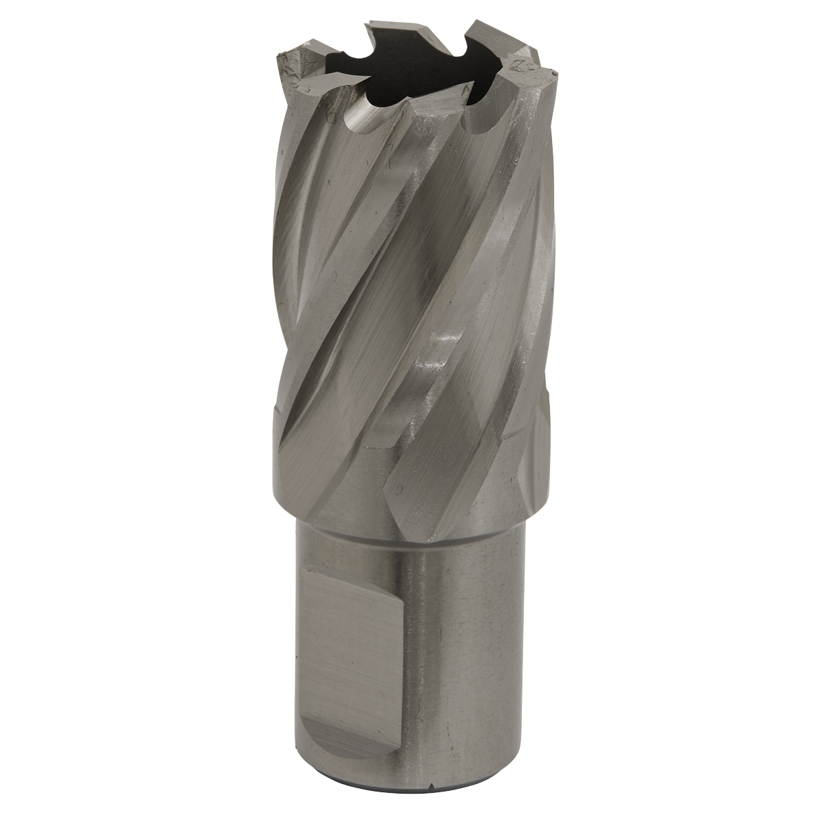 Worksafe® HSS Mag Drill Bit