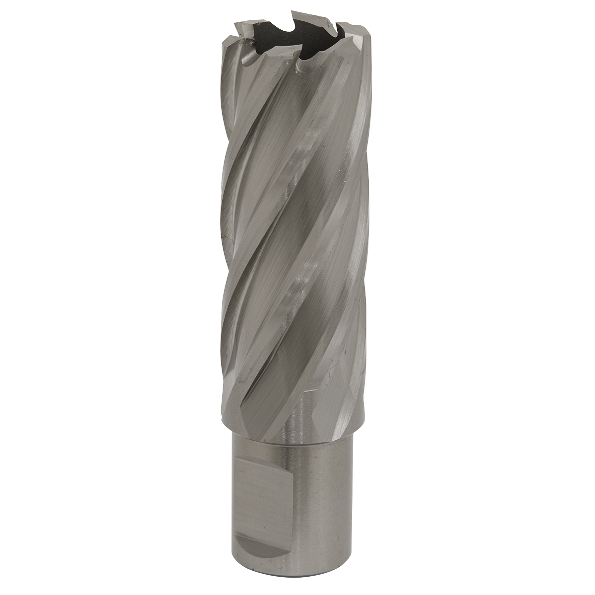 Worksafe® HSS Mag Drill Bit