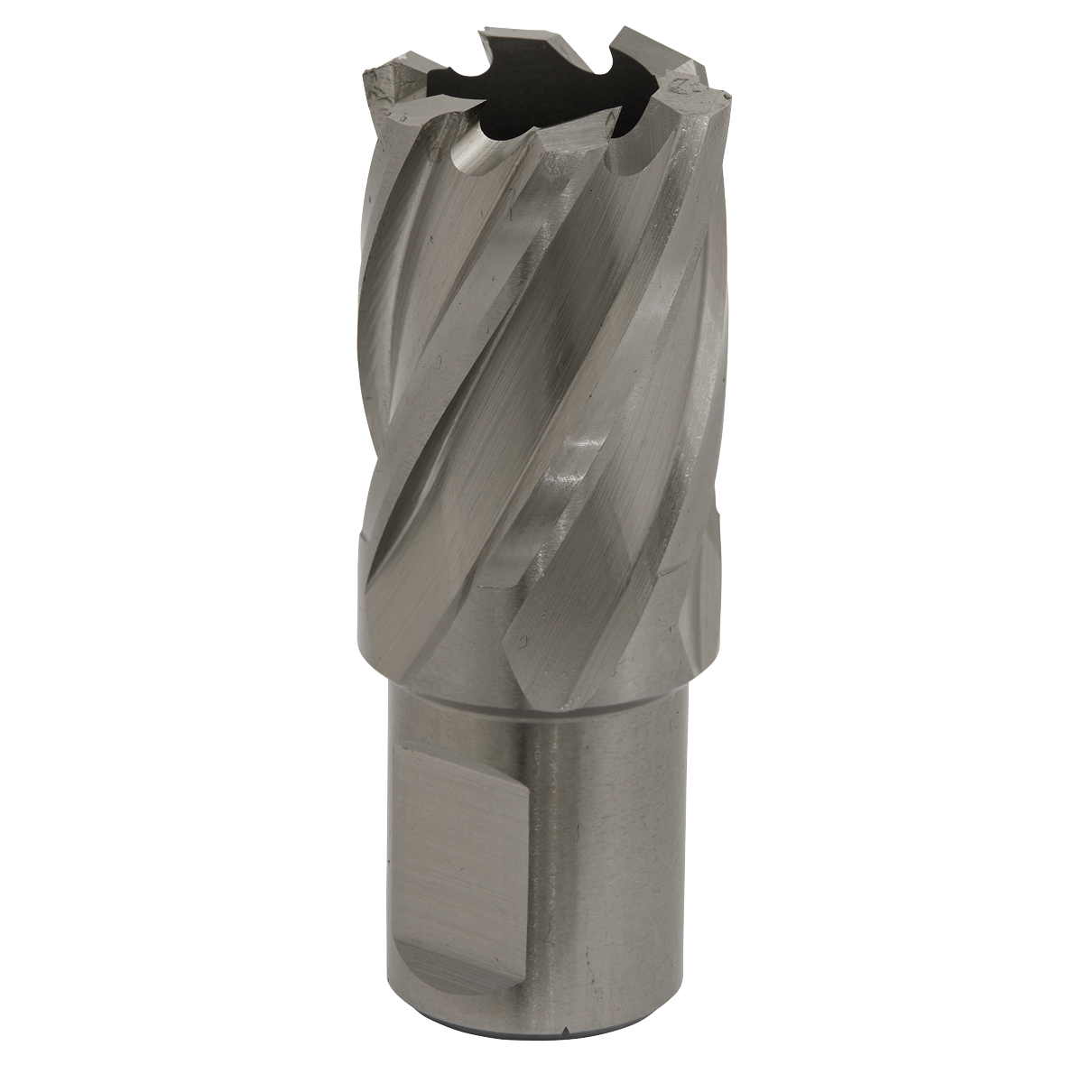 Worksafe® HSS Mag Drill Bit