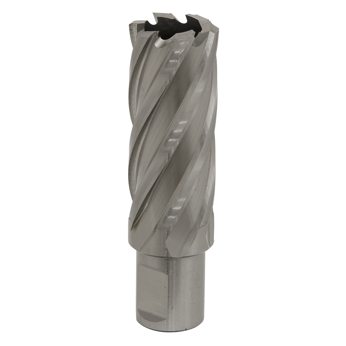 Worksafe® HSS Mag Drill Bit