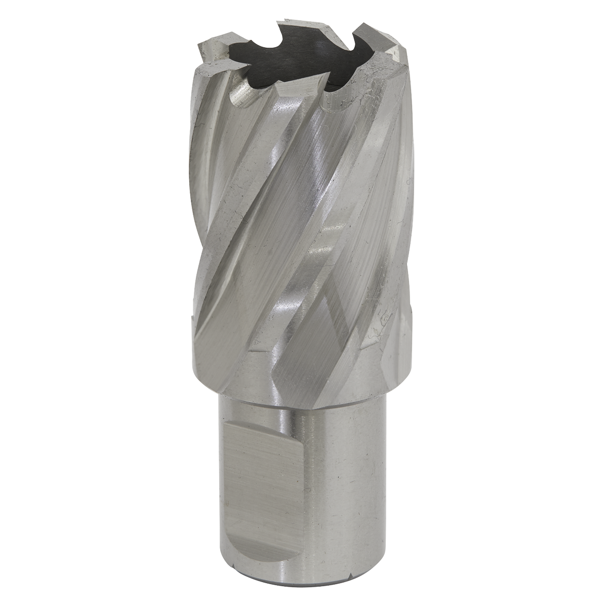 Worksafe® HSS Mag Drill Bit