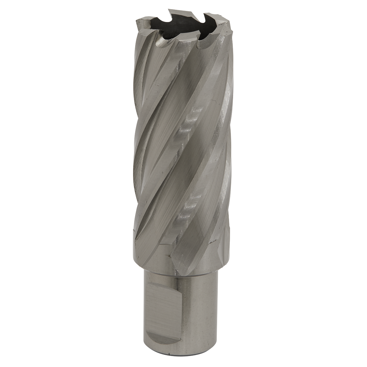 Worksafe® HSS Mag Drill Bit