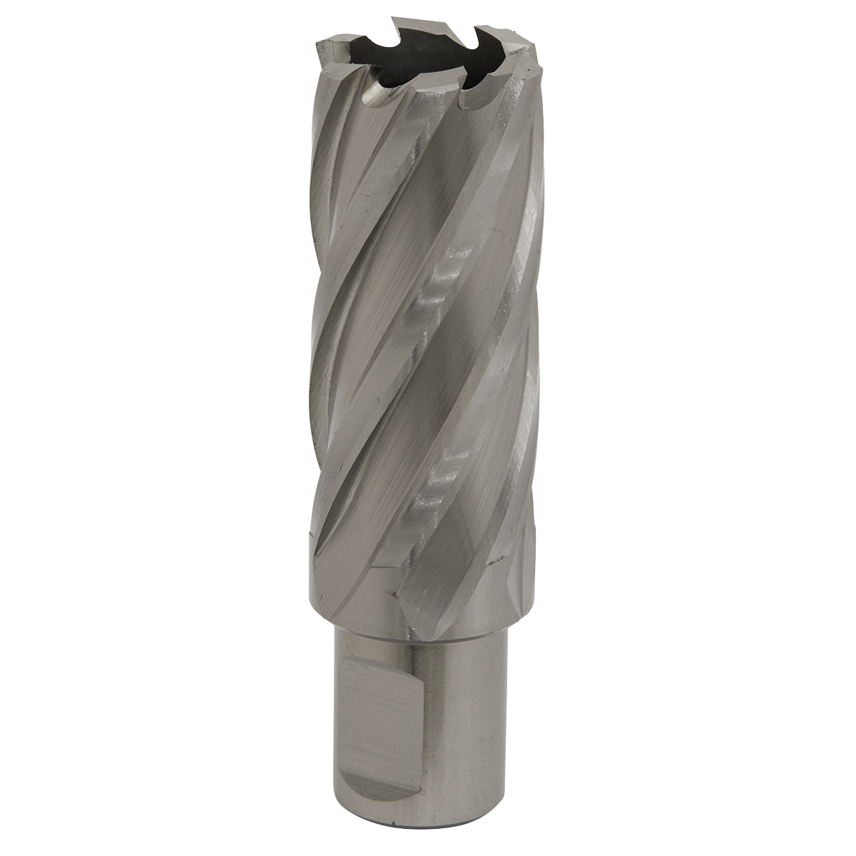 Worksafe® HSS Mag Drill Bit