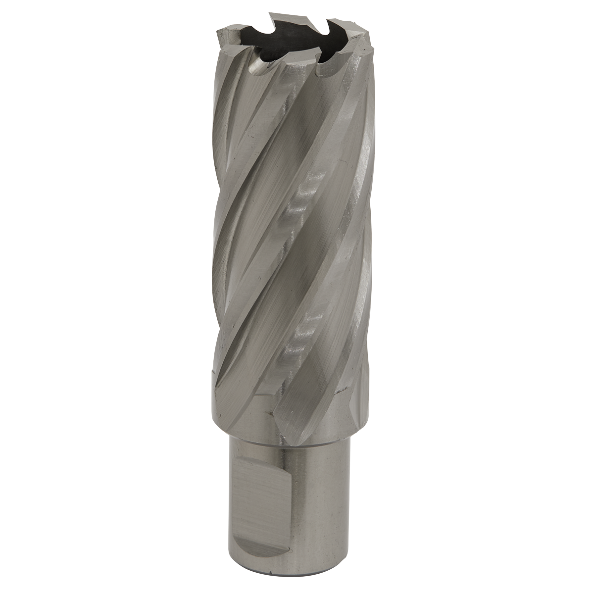 Worksafe® HSS Mag Drill Bit