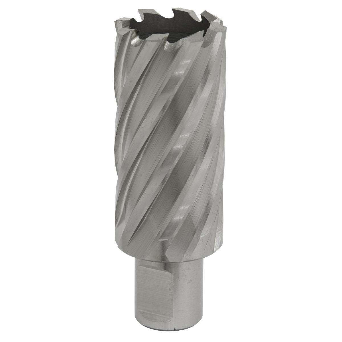 Worksafe® HSS Mag Drill Bit