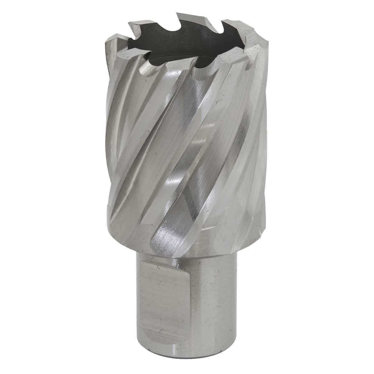Worksafe® HSS Mag Drill Bit