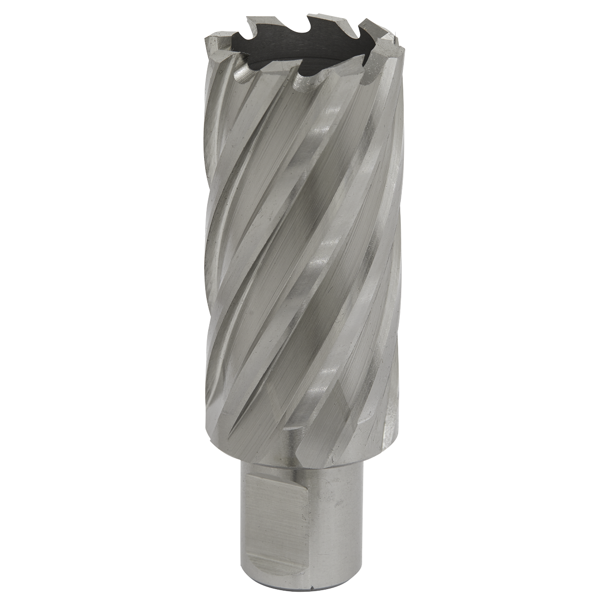 Worksafe® HSS Mag Drill Bit