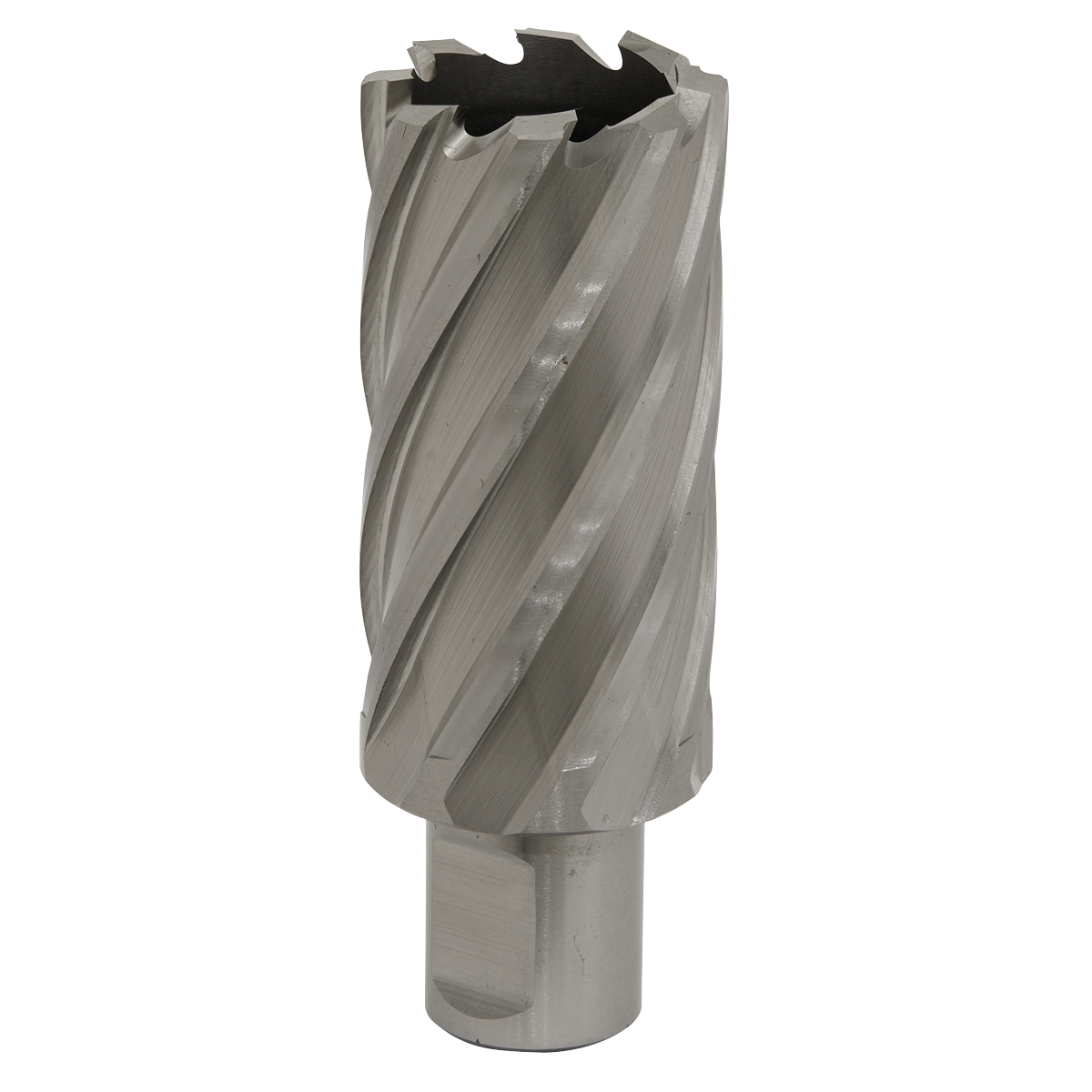 Worksafe® HSS Mag Drill Bit