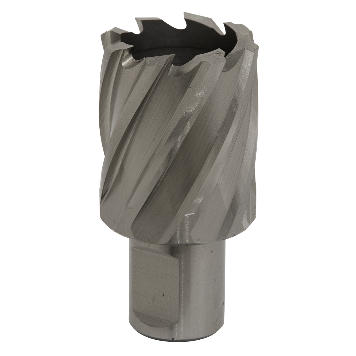 Worksafe® HSS Mag Drill Bit