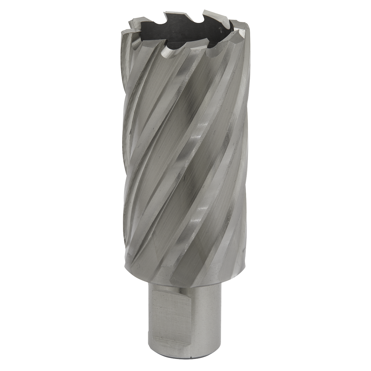 Worksafe® HSS Mag Drill Bit