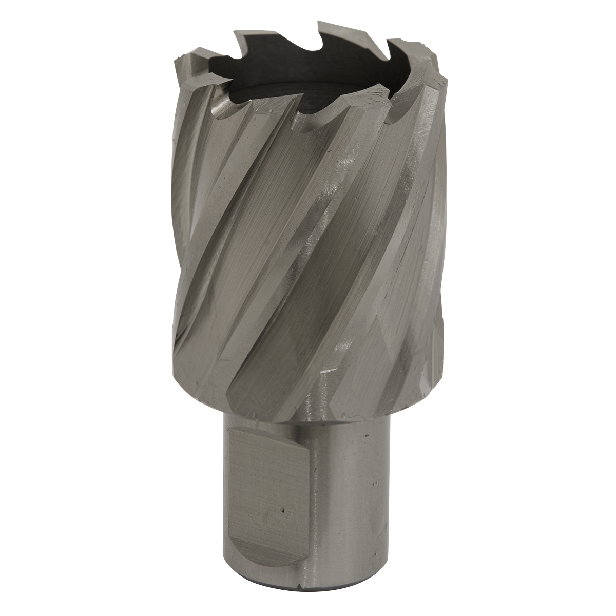 Worksafe® HSS Mag Drill Bit
