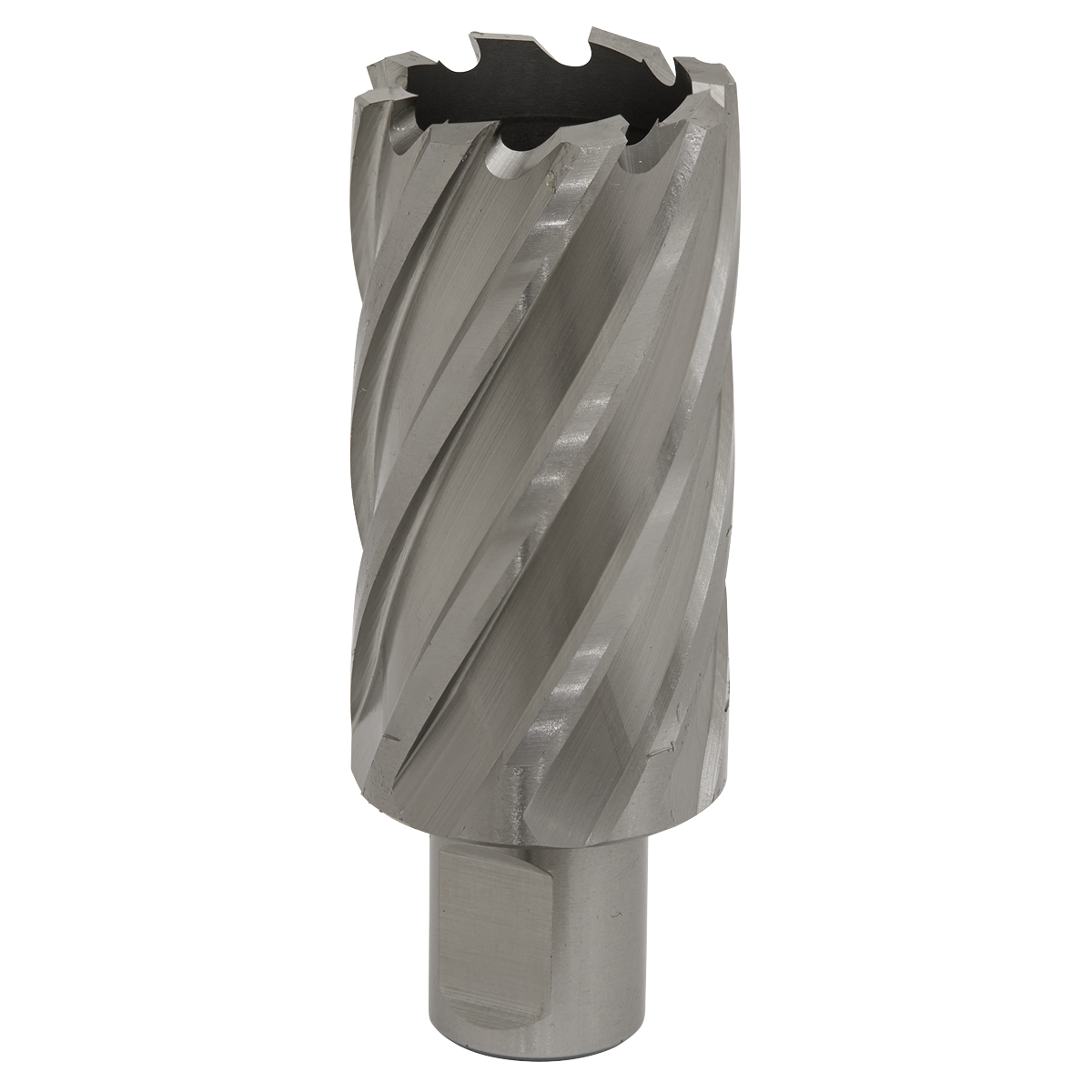 Worksafe® HSS Mag Drill Bit