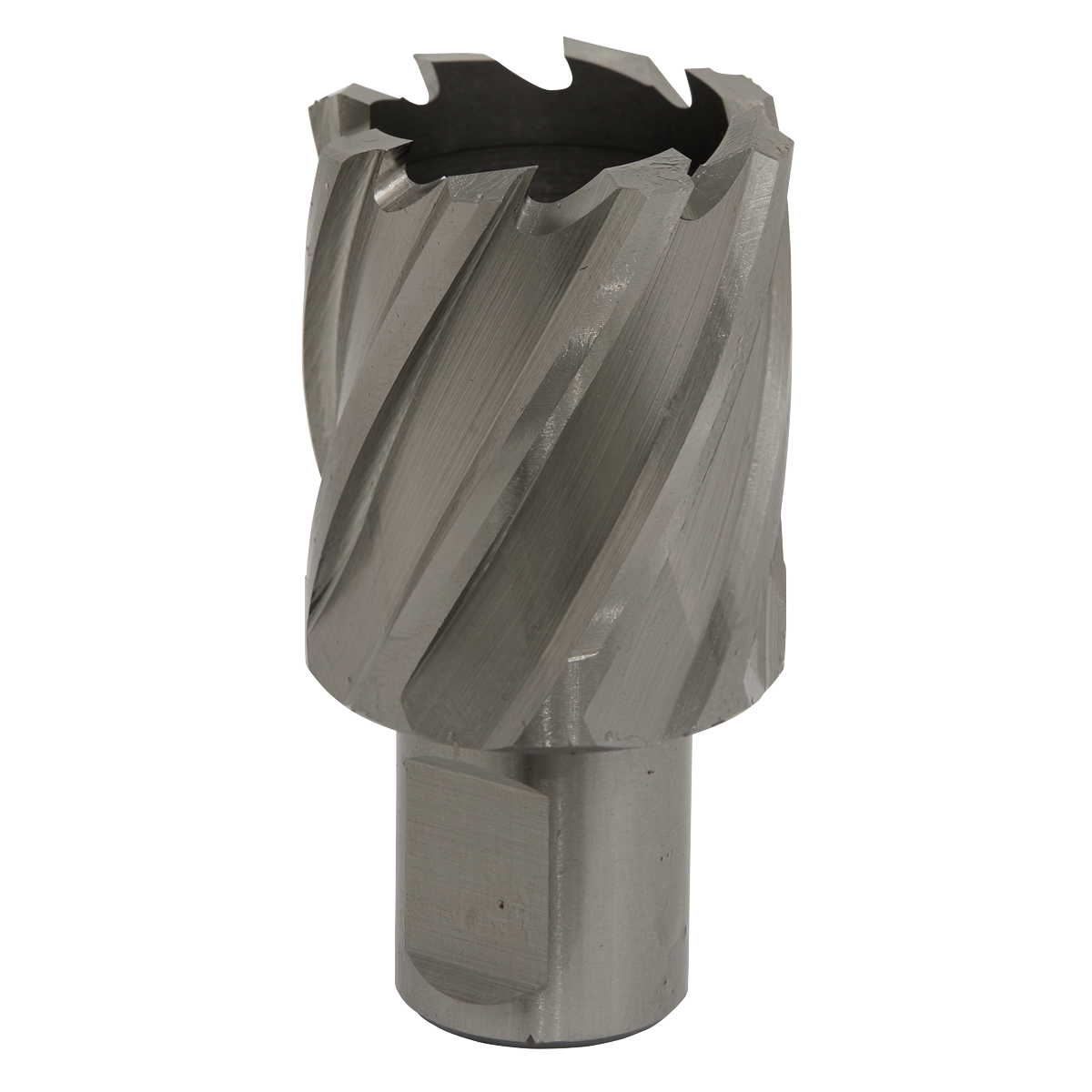 Worksafe® HSS Mag Drill Bit