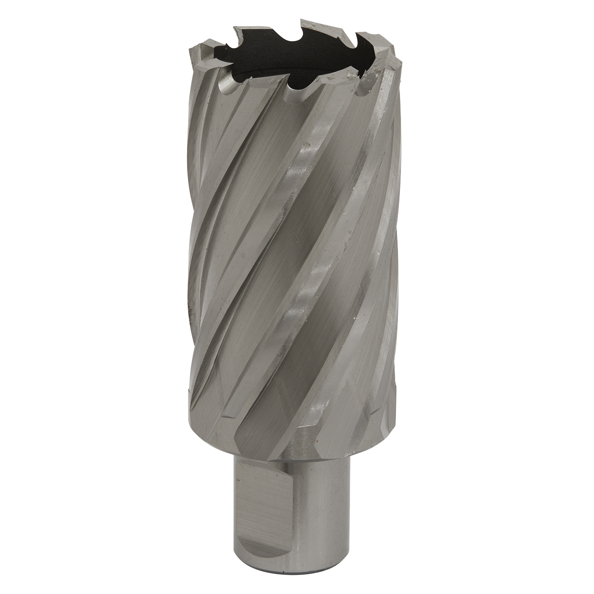 Worksafe® HSS Mag Drill Bit