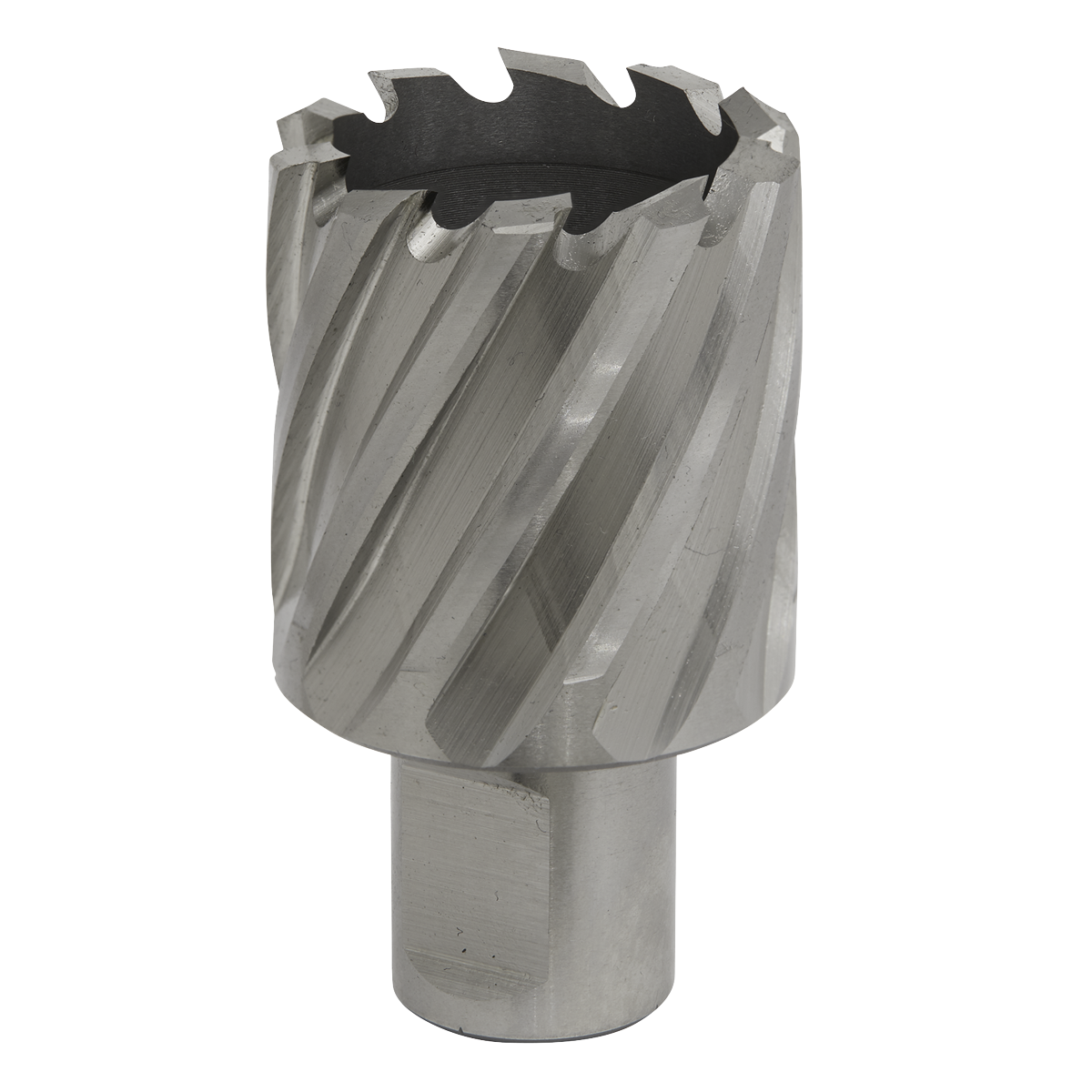 Worksafe® HSS Mag Drill Bit