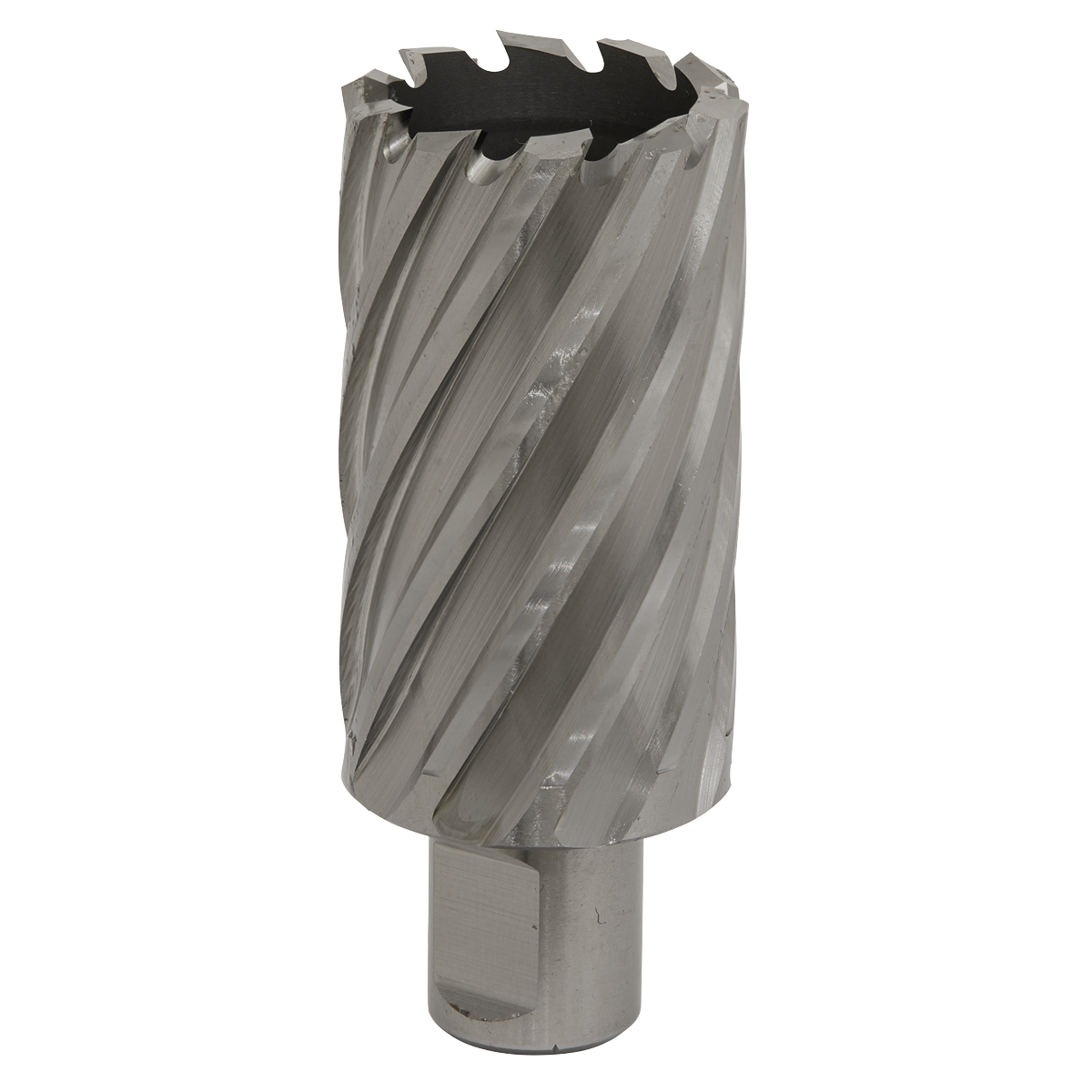 Worksafe® HSS Mag Drill Bit