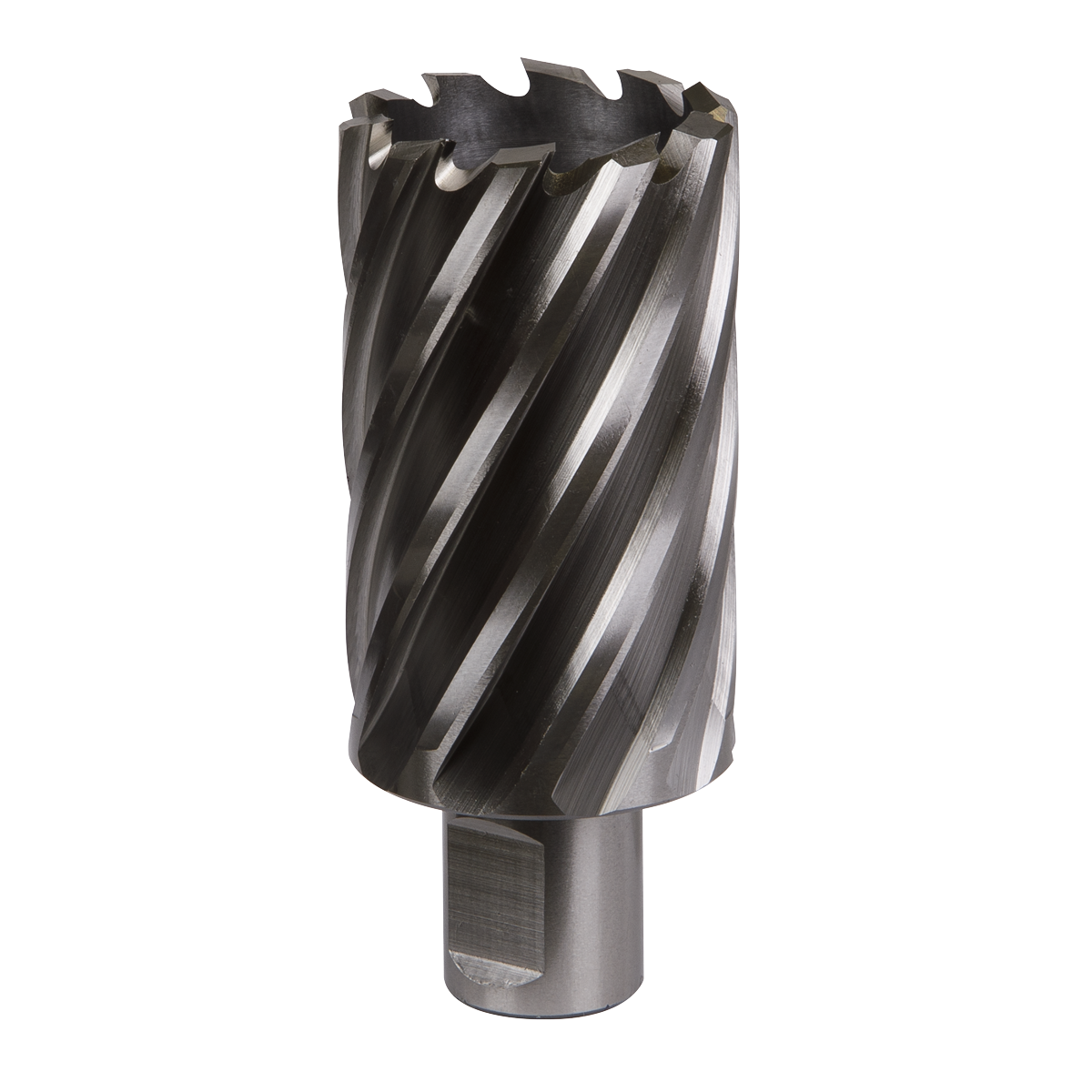 Worksafe® HSS Mag Drill Bit