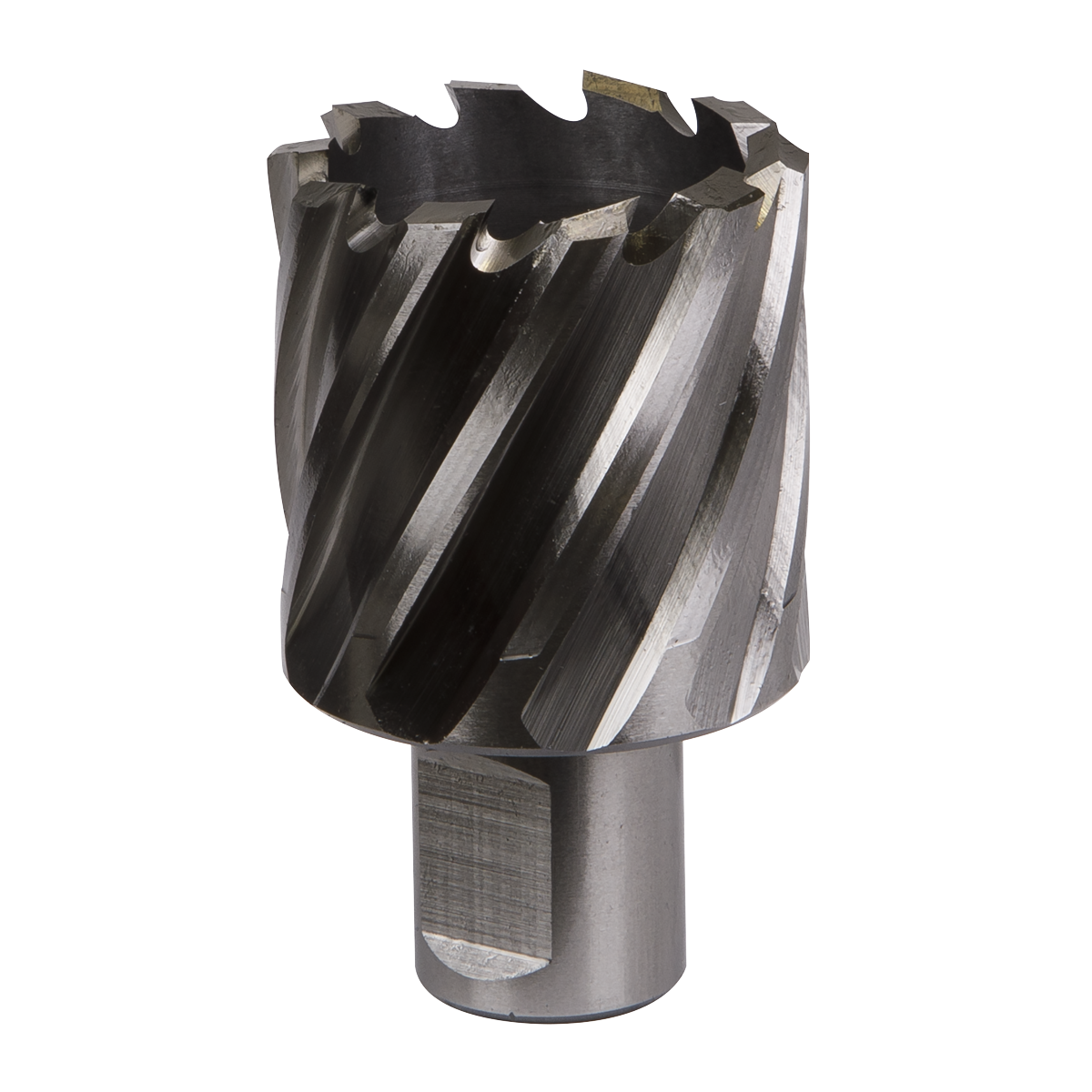 Worksafe® HSS Mag Drill Bit