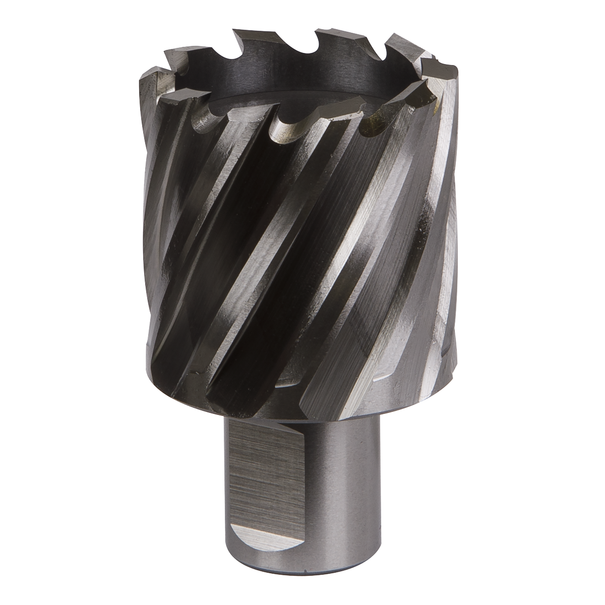 Worksafe® HSS Mag Drill Bit