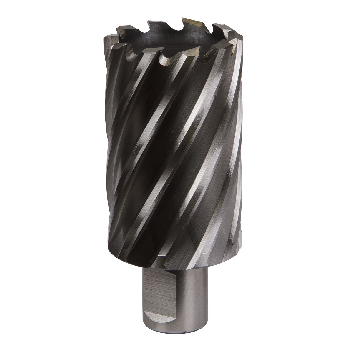 Worksafe® HSS Mag Drill Bit
