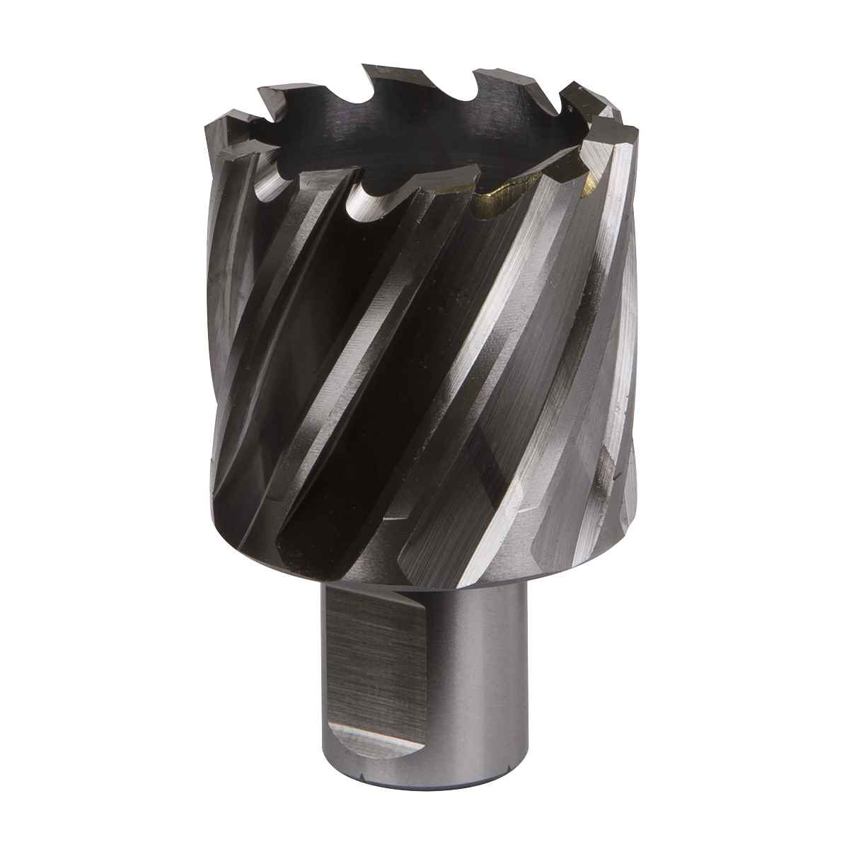 Worksafe® HSS Mag Drill Bit