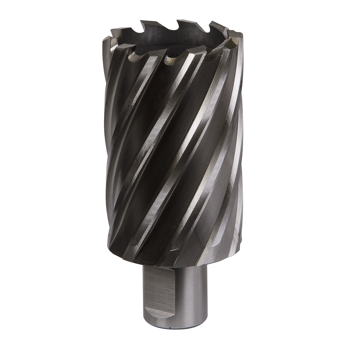 Worksafe® HSS Mag Drill Bit