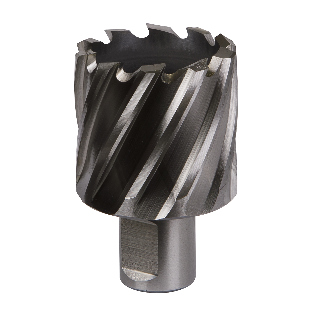 Worksafe® HSS Mag Drill Bit
