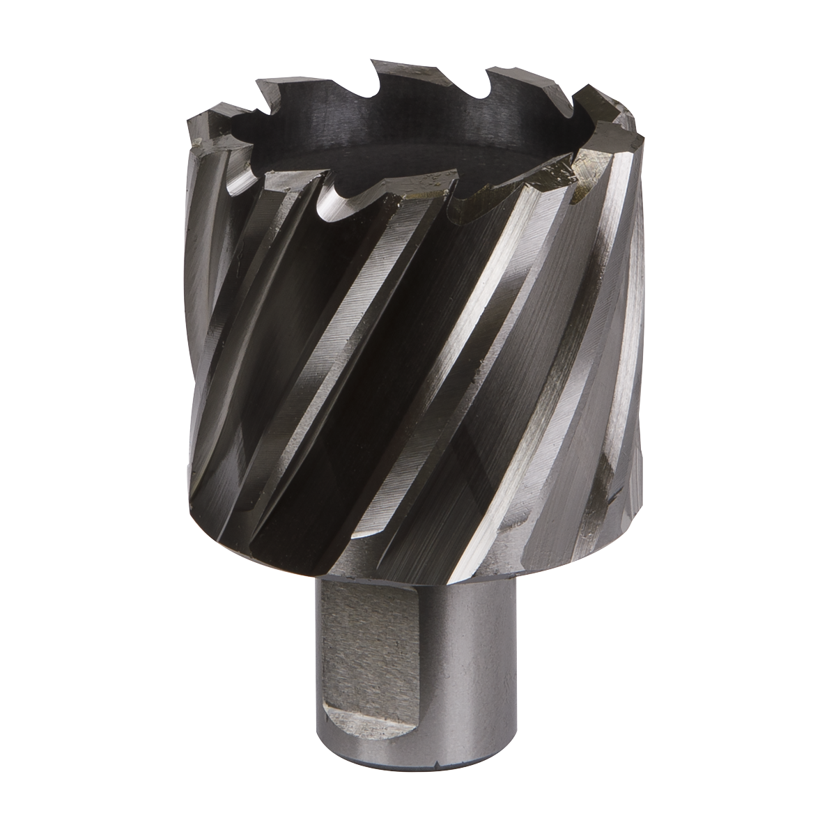 Worksafe® HSS Mag Drill Bit