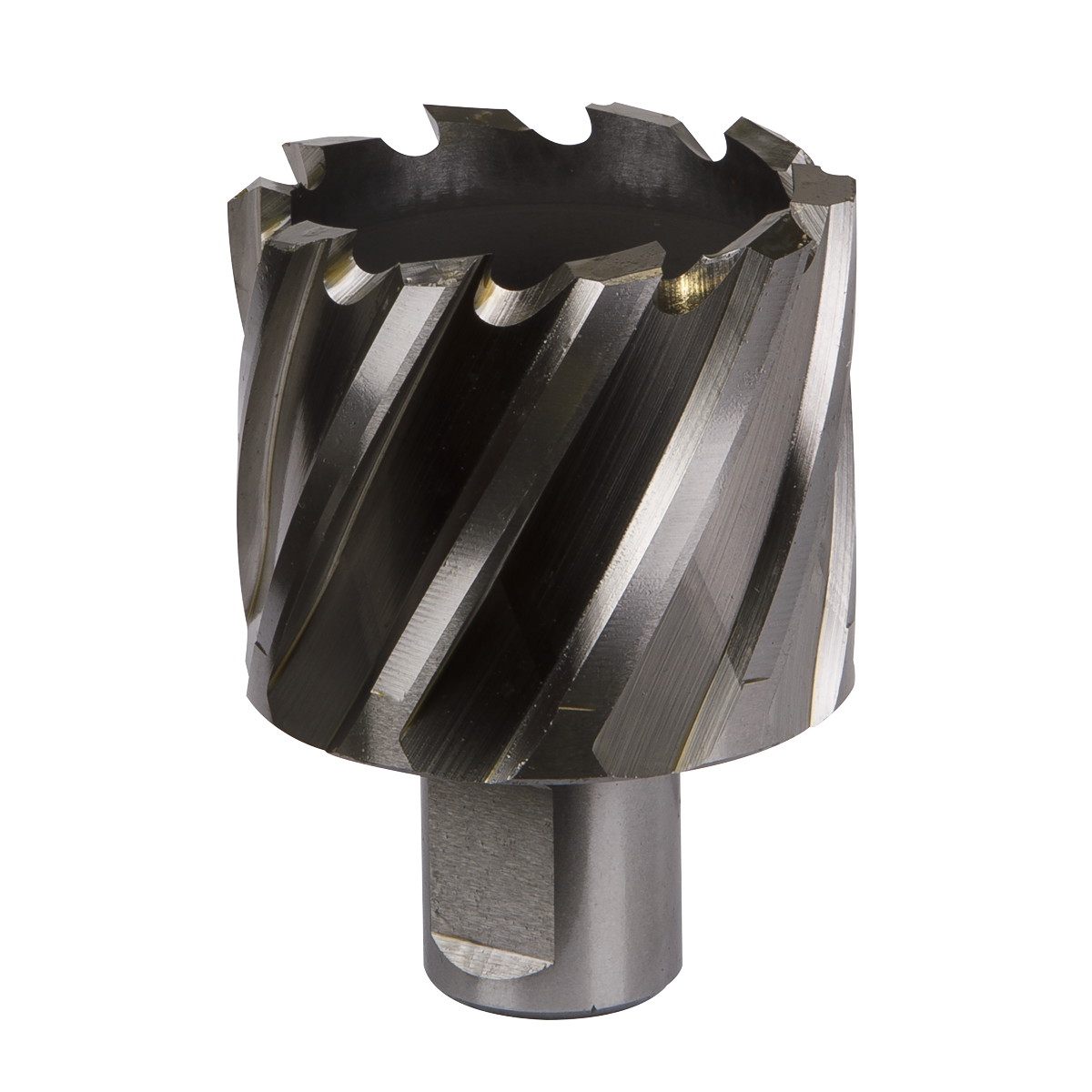 Worksafe® HSS Mag Drill Bit