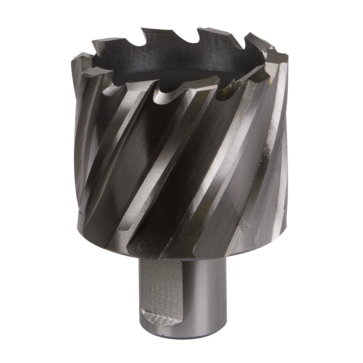 Worksafe® HSS Mag Drill Bit
