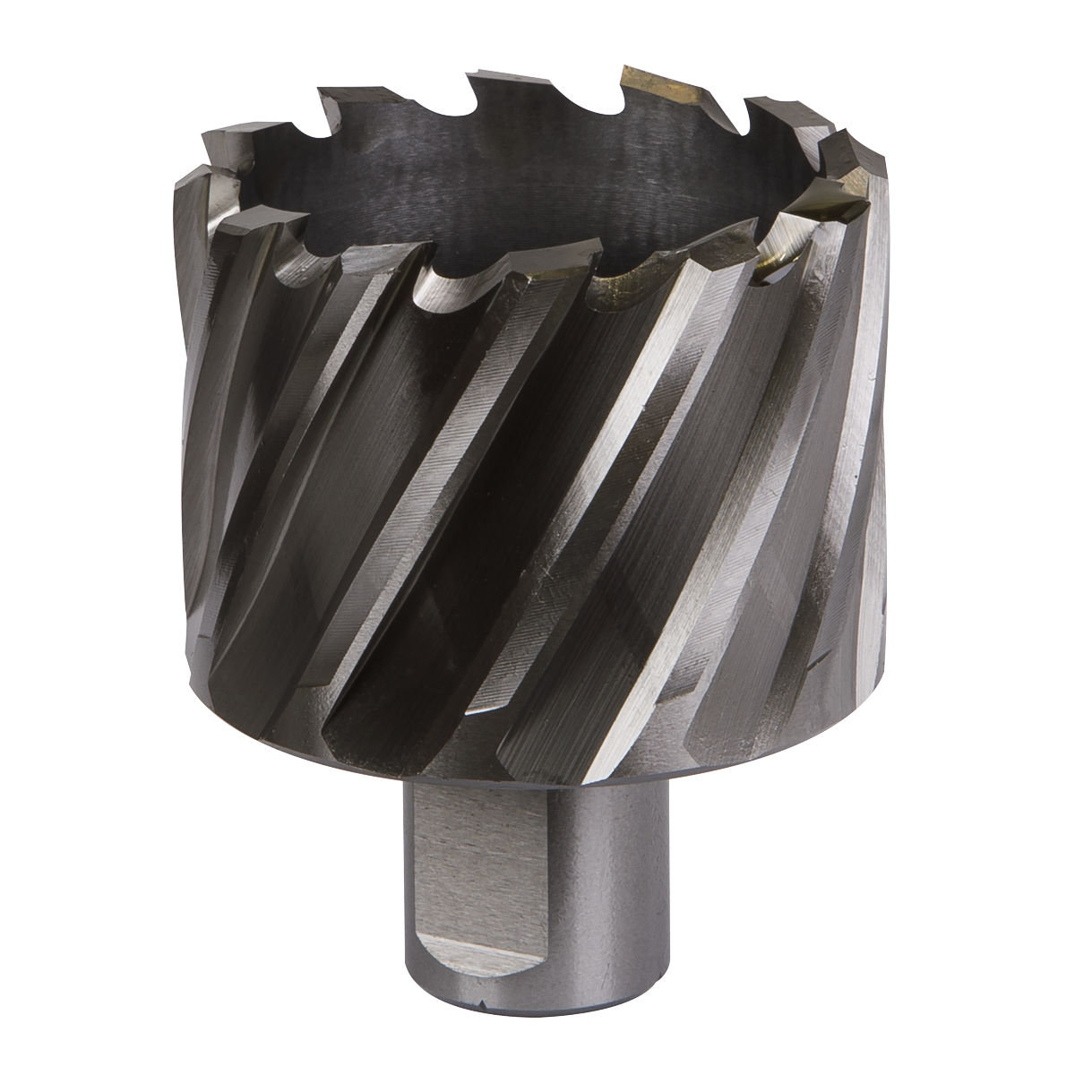 Worksafe® HSS Mag Drill Bit