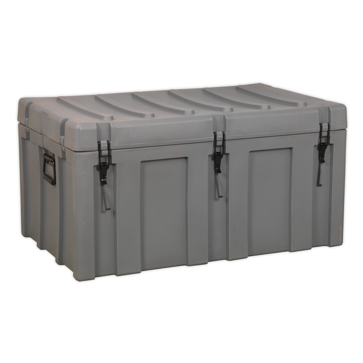 Cargo Storage Case