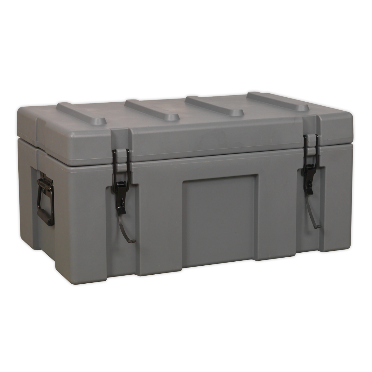 Cargo Storage Case