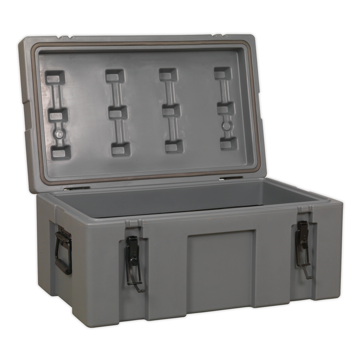 Cargo Storage Case