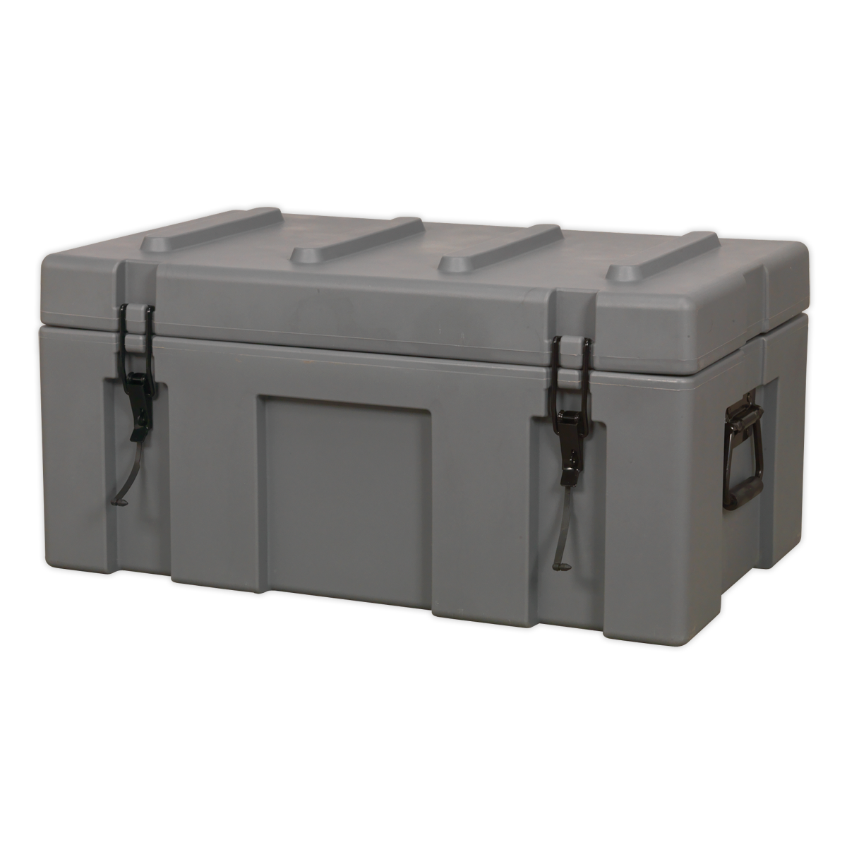 Cargo Storage Case