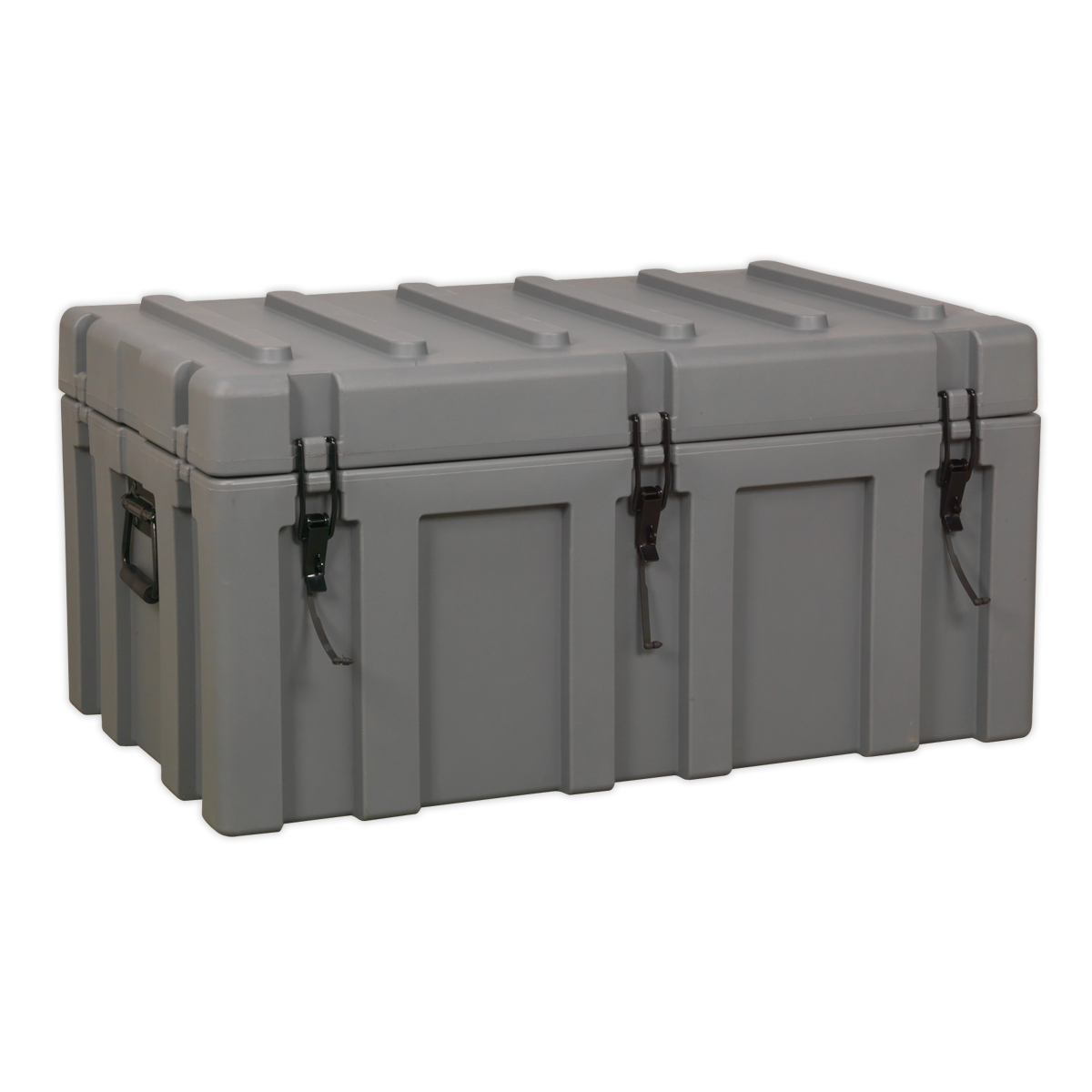 Cargo Storage Case