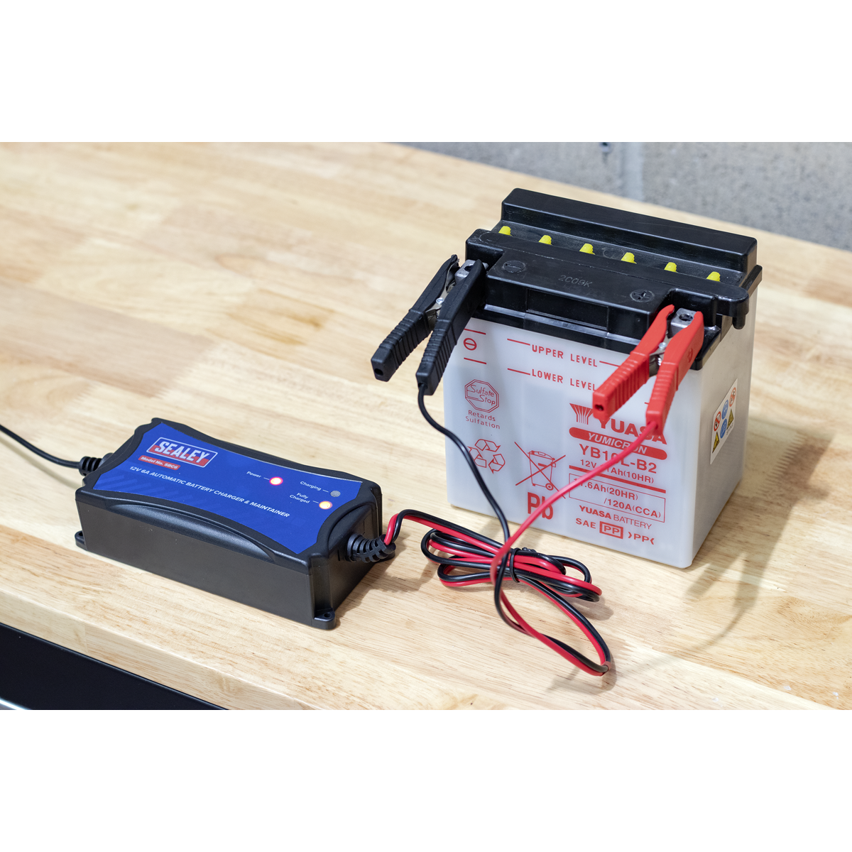 12V Fully Automatic Battery Maintainer/Charger 6A