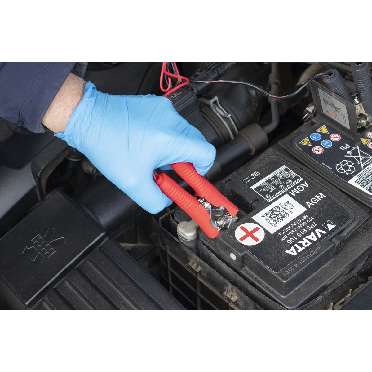 12V Fully Automatic Battery Maintainer/Charger 8A