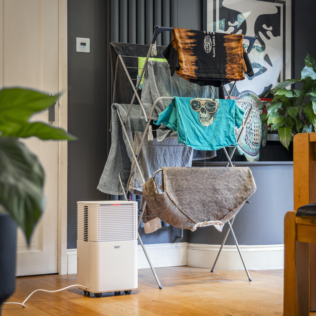 Dehumidifier with Laundry Mode 10L