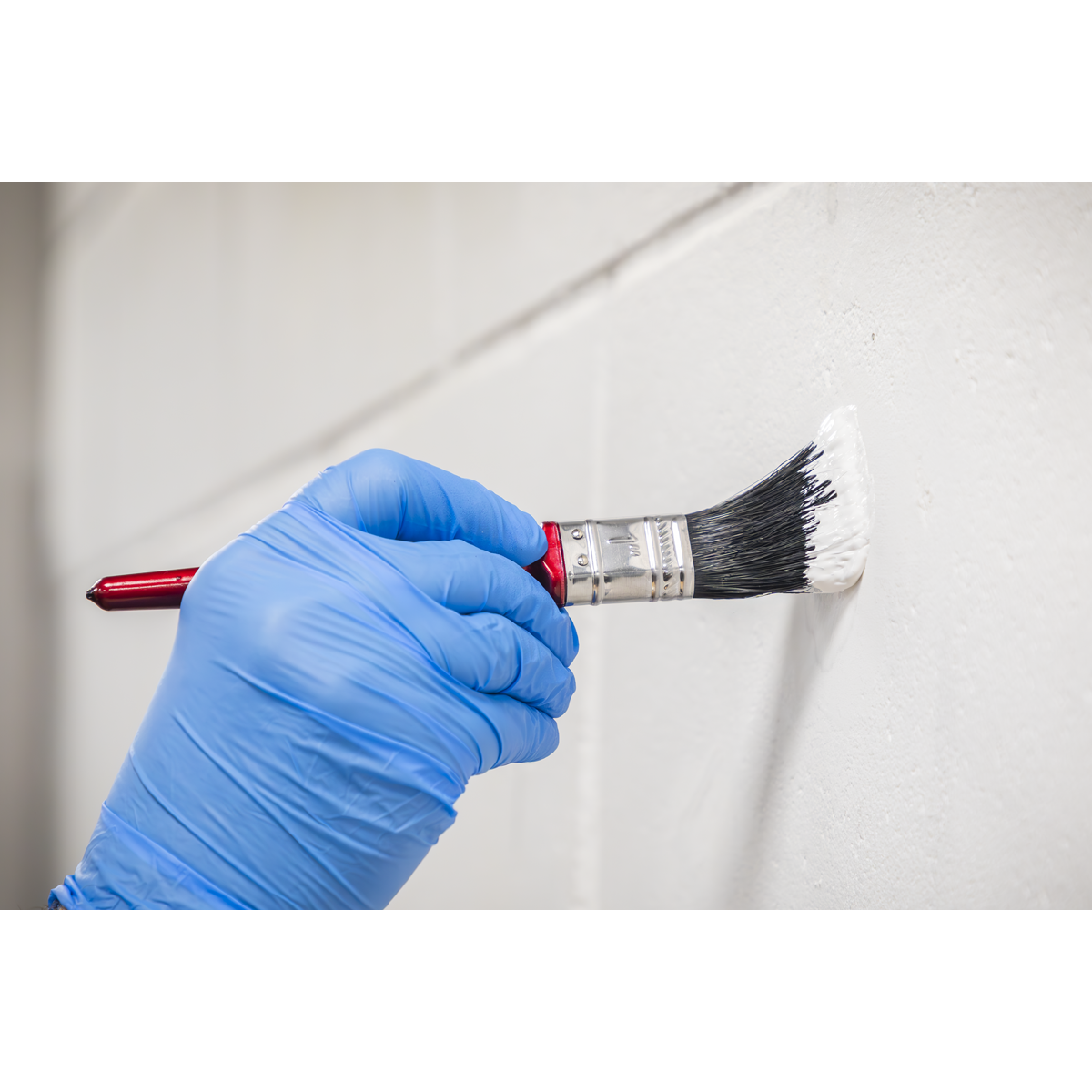 Pure Bristle Paint Brush 25mm - Pack of 10