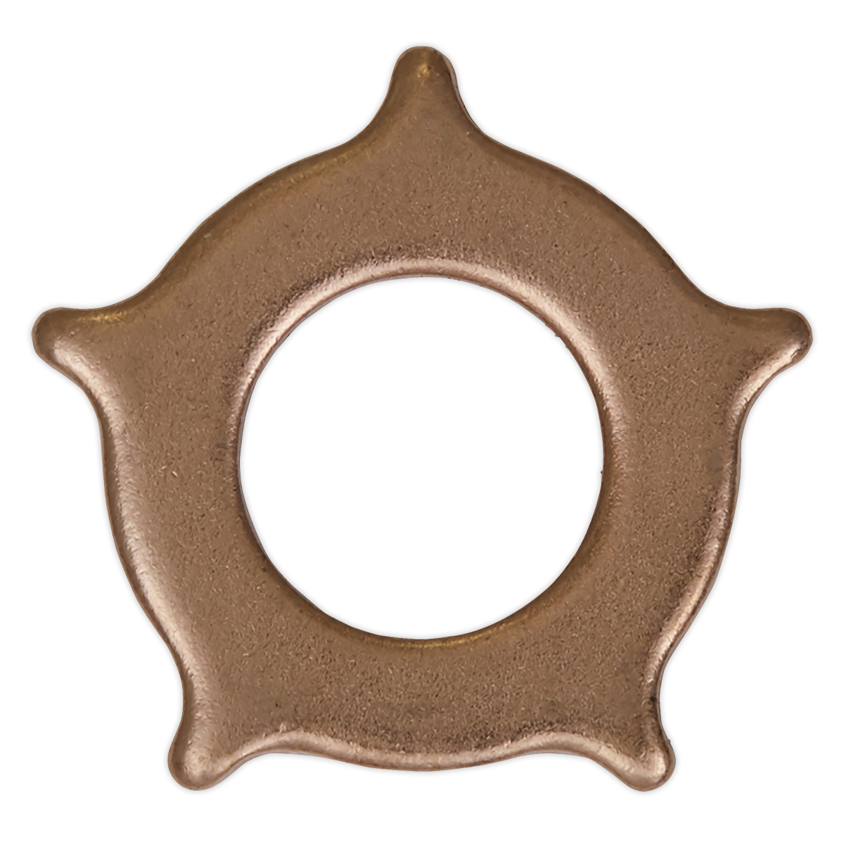 Star Washer for SR2000 - Pack of 10