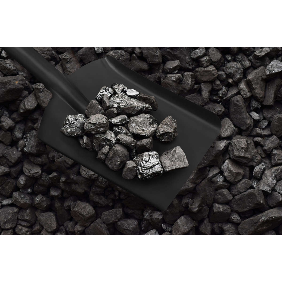 Coal Shovel 6" with 185mm Handle