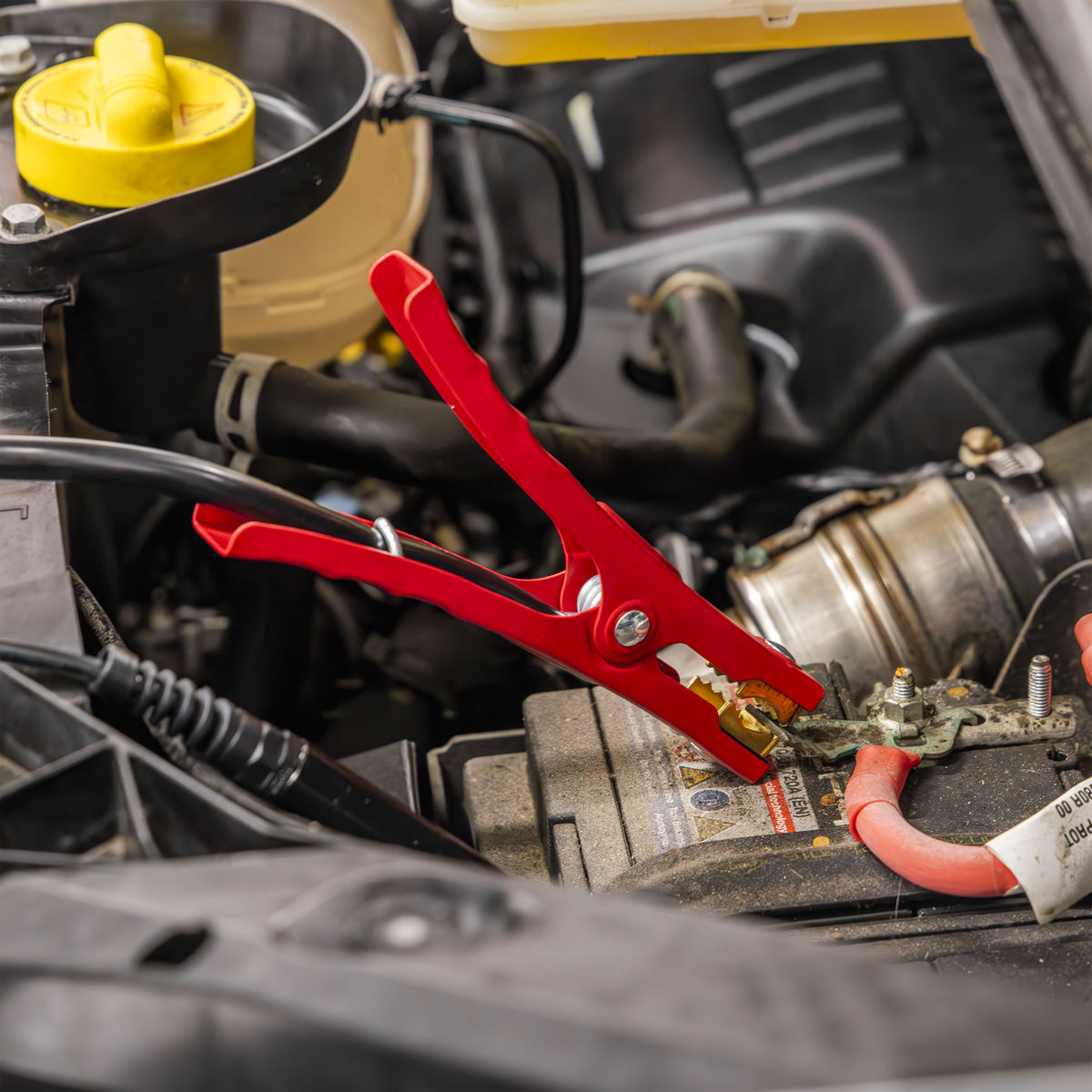 6/12/24V Battery Starter/Charger 950A