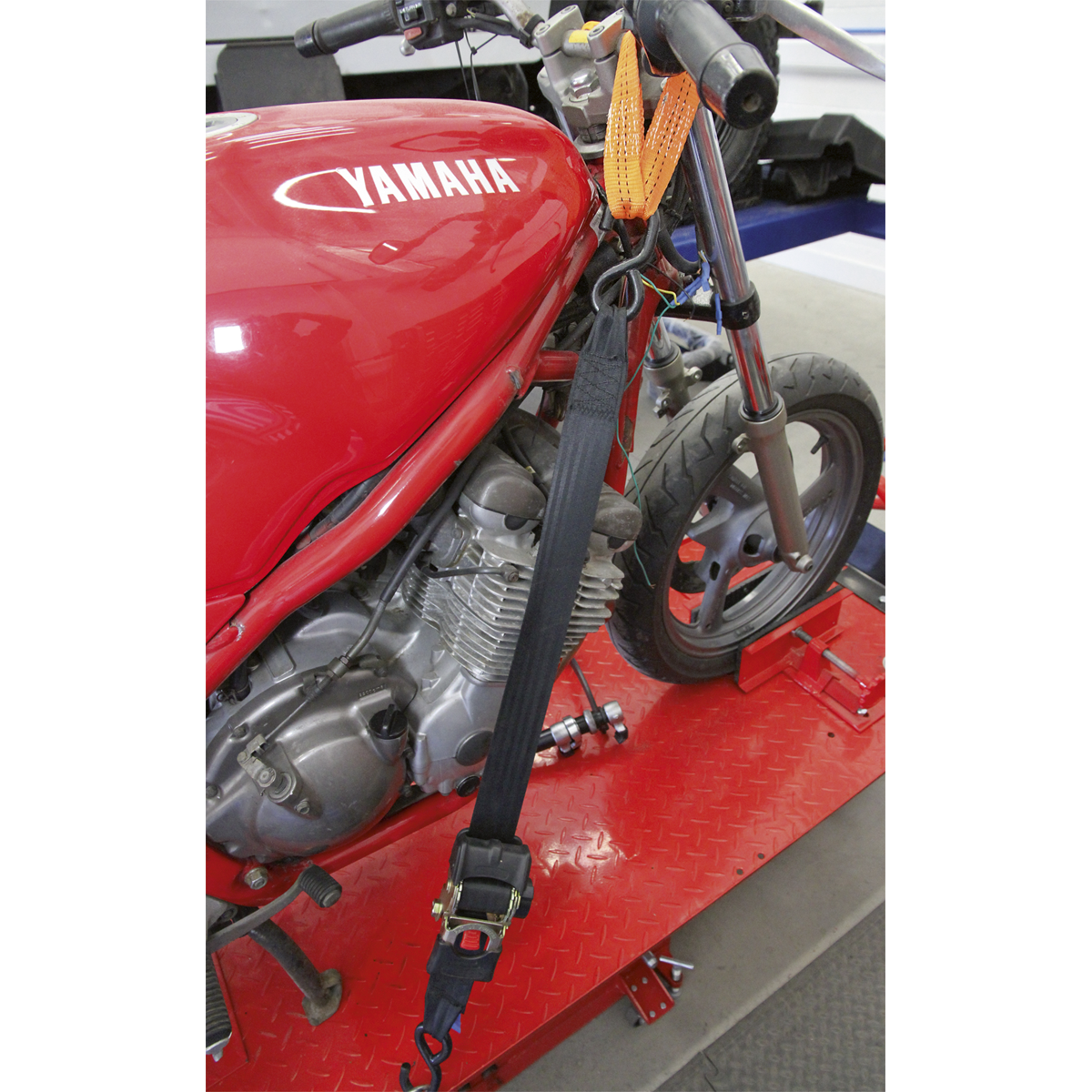 Tie Down Securing Loop - Pair