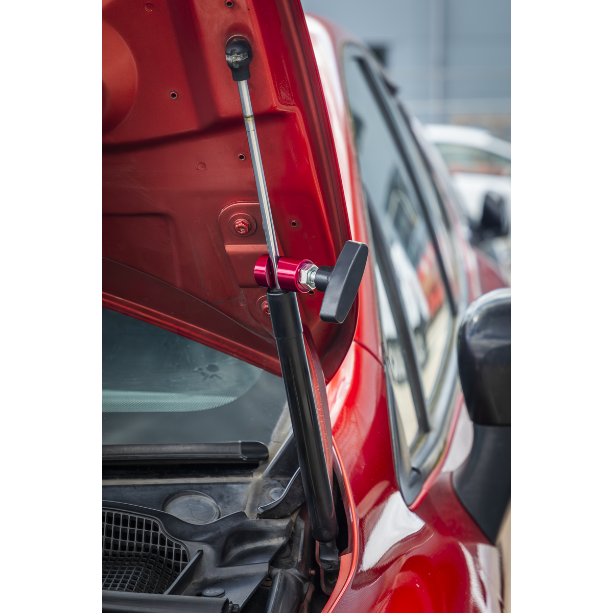 Bonnet Strut Clamp