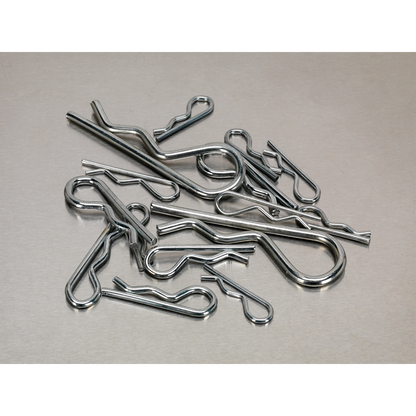 R-Clip Assortment 150pc